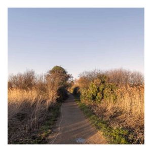 Gresham Hotel, Weymouth - Favourite places - Radipole Nature Reserve