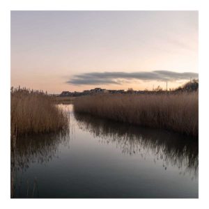 Gresham Hotel, Weymouth - Favourite places - Radipole Nature Reserve