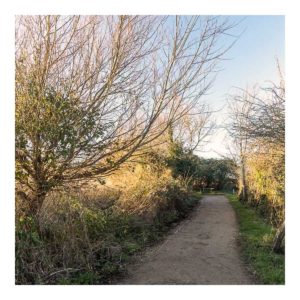 Gresham Hotel, Weymouth - Favourite places - Radipole Nature Reserve