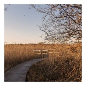 Gresham Hotel, Weymouth - Favourite places - Radipole Nature Reserve