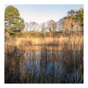 Gresham Hotel, Weymouth - Favourite places - Radipole Nature Reserve