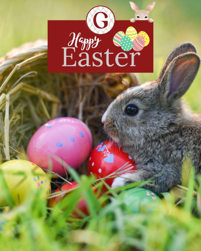 🐣🌷 Hoppy Easter! 🌟🎉 

Wishing everyone a lovely day!

#EasterSunday #eastereggs #easter2025 #HappyEasterSunday #weymouth #weareweymouth #loveweymouth #visitdorset #escapetheeveryday