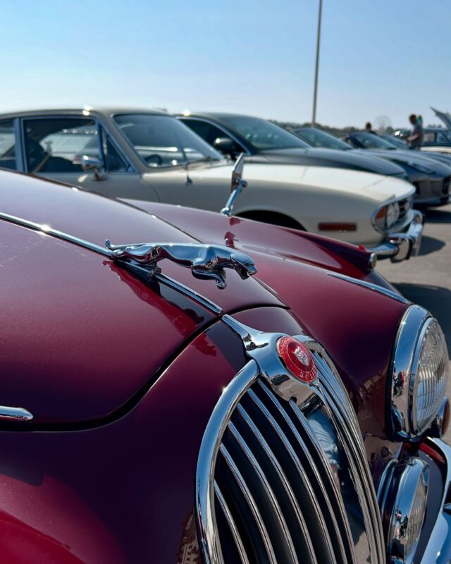 Lovely to see the Jaguar Enthusiasts Club on the Esplanade this morning. 

Some fabulous examples 🤩.